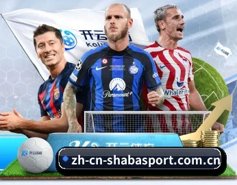 本站五个常用功能入口,赛程查询路径更短